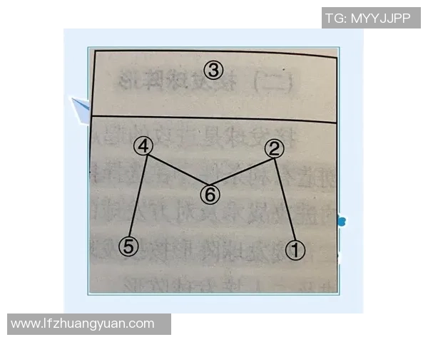 排球盛宴：深入解析西安排球队的战术配合与团队协作秘诀