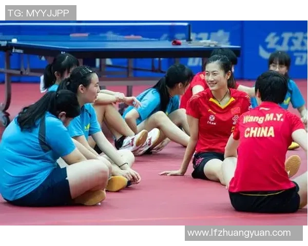 武汉乒乓球队实力深度剖析及各队员表现全面对比分析